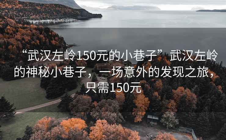 “武漢左嶺150元的小巷子”武漢左嶺的神秘小巷子，一場意外的發(fā)現(xiàn)之旅，只需150元