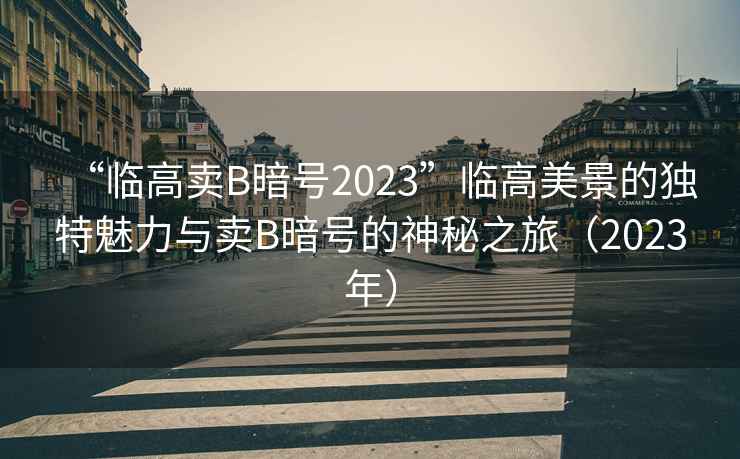 “臨高賣B暗號2023”臨高美景的獨特魅力與賣B暗號的神秘之旅（2023年）