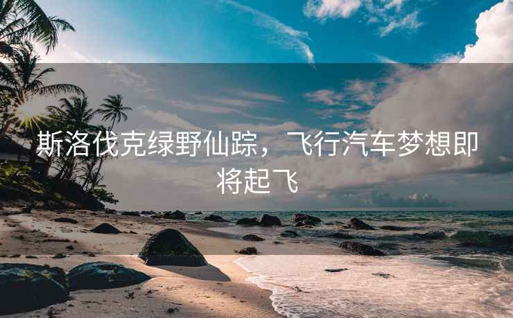 斯洛伐克綠野仙蹤，飛行汽車夢想即將起飛