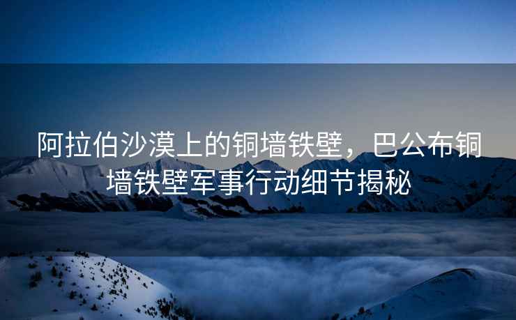 阿拉伯沙漠上的銅墻鐵壁，巴公布銅墻鐵壁軍事行動細節(jié)揭秘
