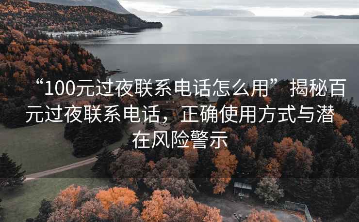 “100元過夜聯(lián)系電話怎么用”揭秘百元過夜聯(lián)系電話，正確使用方式與潛在風(fēng)險(xiǎn)警示