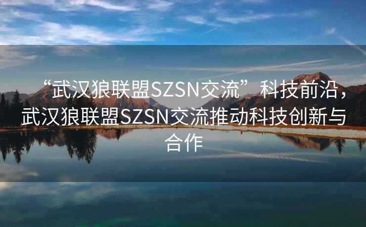 “武漢狼聯(lián)盟SZSN交流”科技前沿，武漢狼聯(lián)盟SZSN交流推動科技創(chuàng)新與合作
