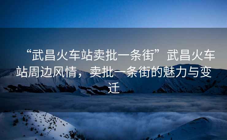 “武昌火車站賣批一條街”武昌火車站周邊風情，賣批一條街的魅力與變遷