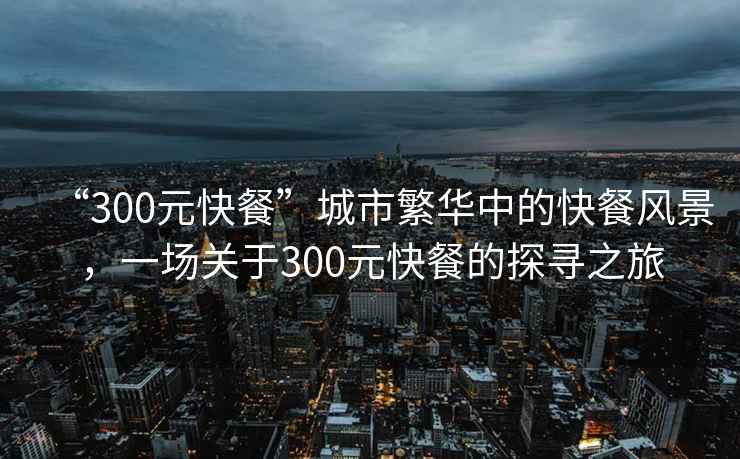 “300元快餐”城市繁華中的快餐風(fēng)景，一場(chǎng)關(guān)于300元快餐的探尋之旅