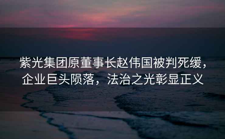 紫光集團原董事長趙偉國被判死緩，企業(yè)巨頭隕落，法治之光彰顯正義