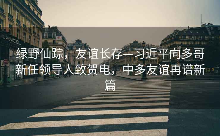 綠野仙蹤，友誼長存—習(xí)近平向多哥新任領(lǐng)導(dǎo)人致賀電，中多友誼再譜新篇
