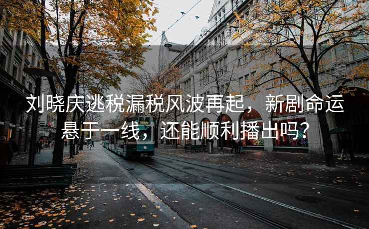 劉曉慶逃稅漏稅風(fēng)波再起，新劇命運懸于一線，還能順利播出嗎？