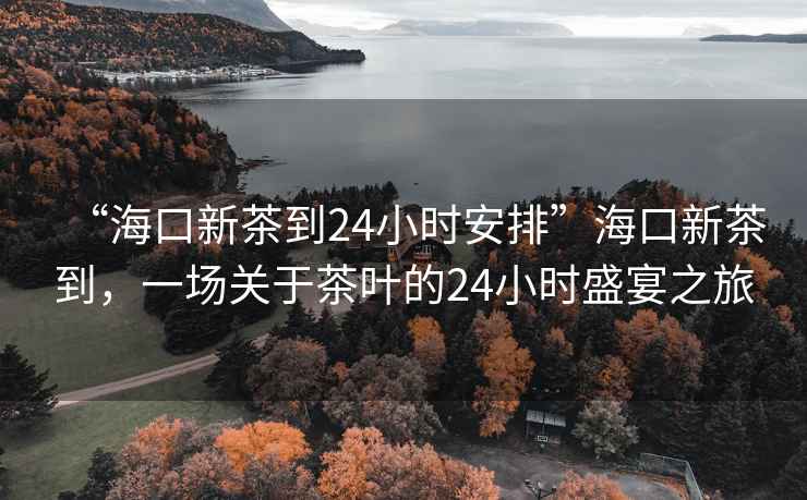 “?？谛虏璧?4小時(shí)安排”?？谛虏璧?，一場(chǎng)關(guān)于茶葉的24小時(shí)盛宴之旅