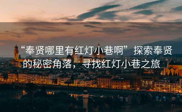 “奉賢哪里有紅燈小巷啊”探索奉賢的秘密角落，尋找紅燈小巷之旅