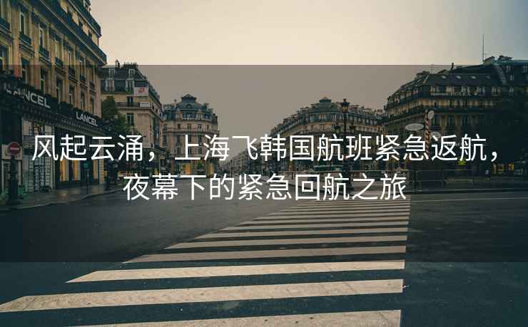 風起云涌，上海飛韓國航班緊急返航，夜幕下的緊急回航之旅
