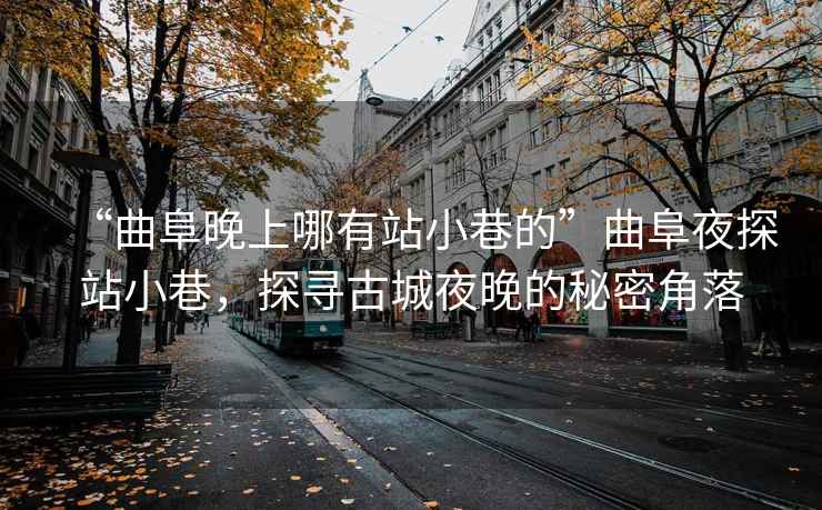 “曲阜晚上哪有站小巷的”曲阜夜探站小巷，探尋古城夜晚的秘密角落