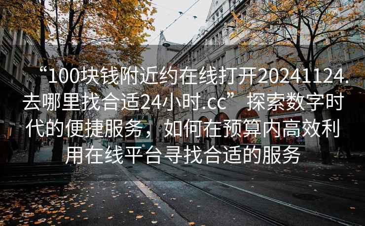 “100塊錢(qián)附近約在線打開(kāi)20241124.去哪里找合適24小時(shí).cc”探索數(shù)字時(shí)代的便捷服務(wù)，如何在預(yù)算內(nèi)高效利用在線平臺(tái)尋找合適的服務(wù)