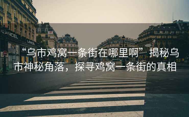 “烏市雞窩一條街在哪里啊”揭秘烏市神秘角落，探尋雞窩一條街的真相