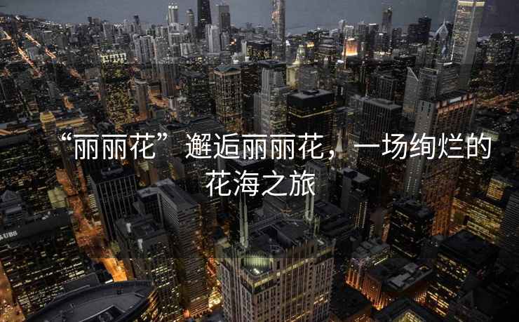 “麗麗花”邂逅麗麗花，一場絢爛的花海之旅