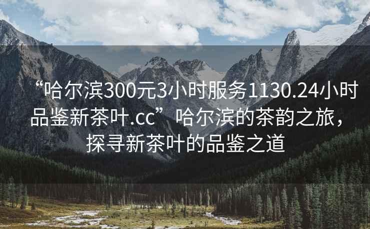 “哈爾濱300元3小時(shí)服務(wù)1130.24小時(shí)品鑒新茶葉.cc”哈爾濱的茶韻之旅，探尋新茶葉的品鑒之道