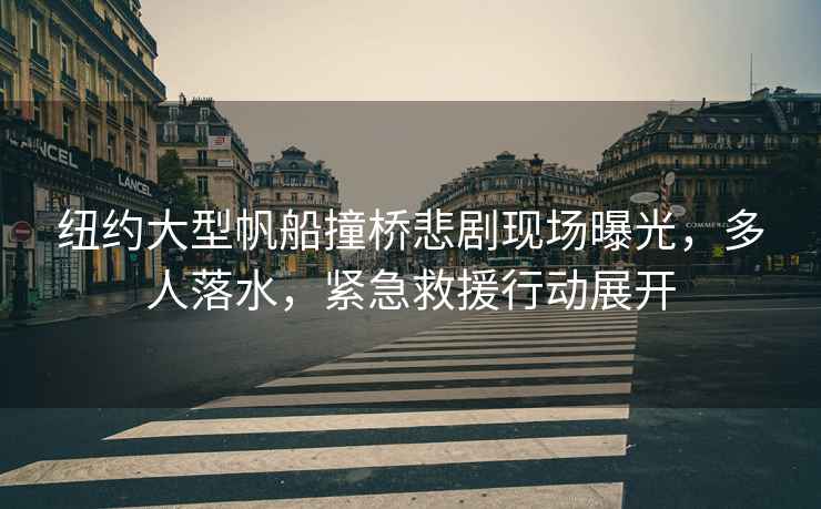 紐約大型帆船撞橋悲劇現(xiàn)場曝光，多人落水，緊急救援行動(dòng)展開