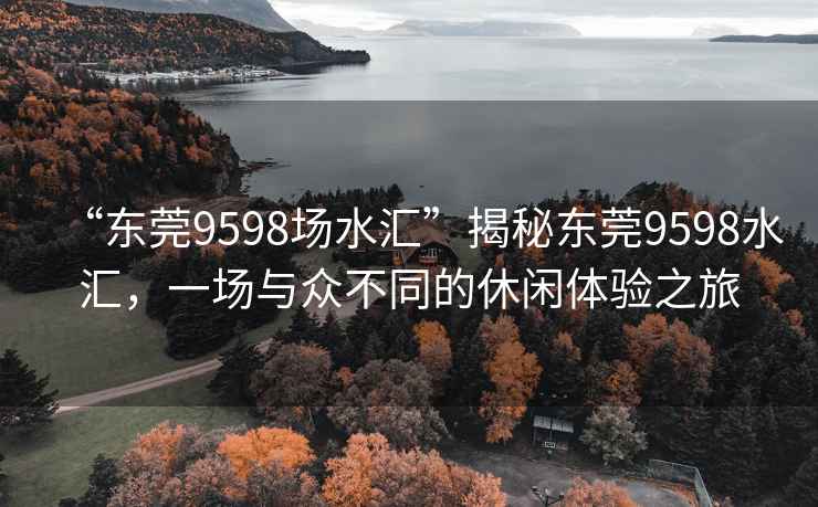 “東莞9598場水匯”揭秘東莞9598水匯，一場與眾不同的休閑體驗(yàn)之旅