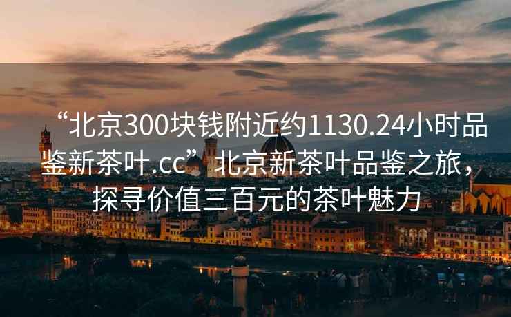 “北京300塊錢附近約1130.24小時品鑒新茶葉.cc”北京新茶葉品鑒之旅，探尋價值三百元的茶葉魅力