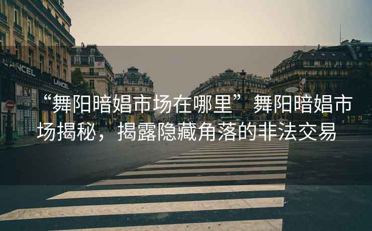 “舞陽暗娼市場在哪里”舞陽暗娼市場揭秘，揭露隱藏角落的非法交易