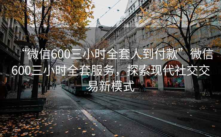 “微信600三小時全套人到付款”微信600三小時全套服務，探索現(xiàn)代社交交易新模式