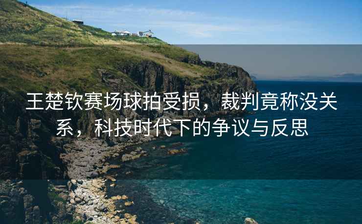 王楚欽賽場球拍受損，裁判竟稱沒關(guān)系，科技時代下的爭議與反思