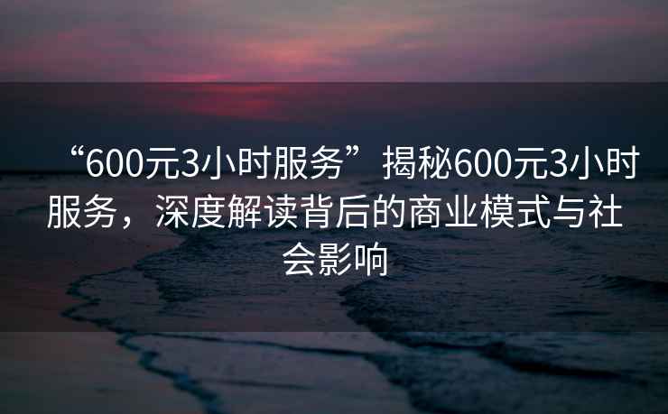 “600元3小時服務(wù)”揭秘600元3小時服務(wù)，深度解讀背后的商業(yè)模式與社會影響