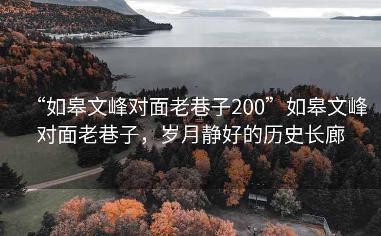 “如皋文峰對(duì)面老巷子200”如皋文峰對(duì)面老巷子，歲月靜好的歷史長(zhǎng)廊