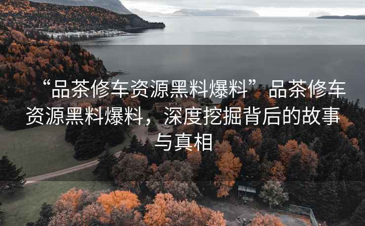 “品茶修車資源黑料爆料”品茶修車資源黑料爆料，深度挖掘背后的故事與真相