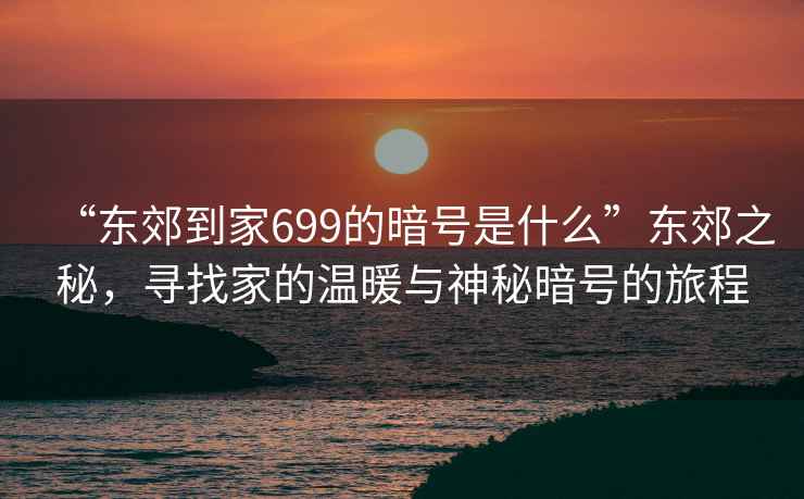 “東郊到家699的暗號是什么”東郊之秘，尋找家的溫暖與神秘暗號的旅程