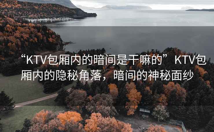 “KTV包廂內(nèi)的暗間是干嘛的”KTV包廂內(nèi)的隱秘角落，暗間的神秘面紗