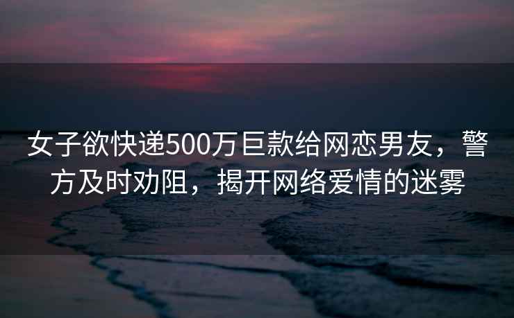 女子欲快遞500萬巨款給網(wǎng)戀男友，警方及時勸阻，揭開網(wǎng)絡愛情的迷霧