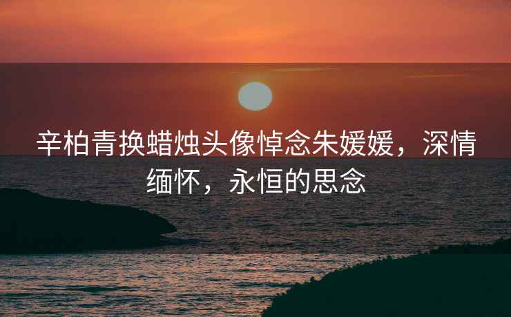 辛柏青換蠟燭頭像悼念朱媛媛，深情緬懷，永恒的思念