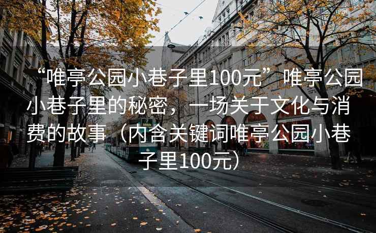 “唯亭公園小巷子里100元”唯亭公園小巷子里的秘密，一場關(guān)于文化與消費的故事（內(nèi)含關(guān)鍵詞唯亭公園小巷子里100元）
