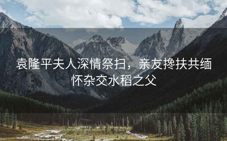 袁隆平夫人深情祭掃，親友攙扶共緬懷雜交水稻之父