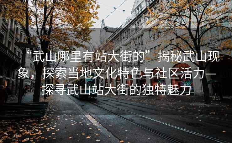 “武山哪里有站大街的”揭秘武山現(xiàn)象，探索當(dāng)?shù)匚幕厣c社區(qū)活力—探尋武山站大街的獨特魅力