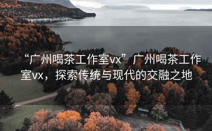 “廣州喝茶工作室vx”廣州喝茶工作室vx，探索傳統(tǒng)與現(xiàn)代的交融之地