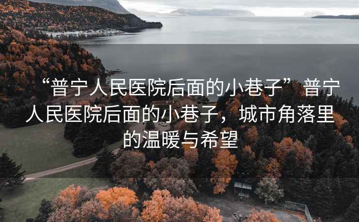 “普寧人民醫(yī)院后面的小巷子”普寧人民醫(yī)院后面的小巷子，城市角落里的溫暖與希望