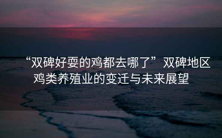 “雙碑好耍的雞都去哪了”雙碑地區(qū)雞類養(yǎng)殖業(yè)的變遷與未來展望