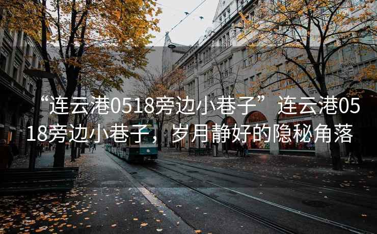 “連云港0518旁邊小巷子”連云港0518旁邊小巷子，歲月靜好的隱秘角落