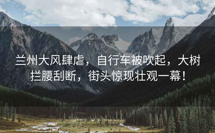 蘭州大風(fēng)肆虐，自行車被吹起，大樹攔腰刮斷，街頭驚現(xiàn)壯觀一幕！