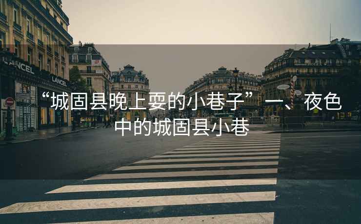 “城固縣晚上耍的小巷子”一、夜色中的城固縣小巷