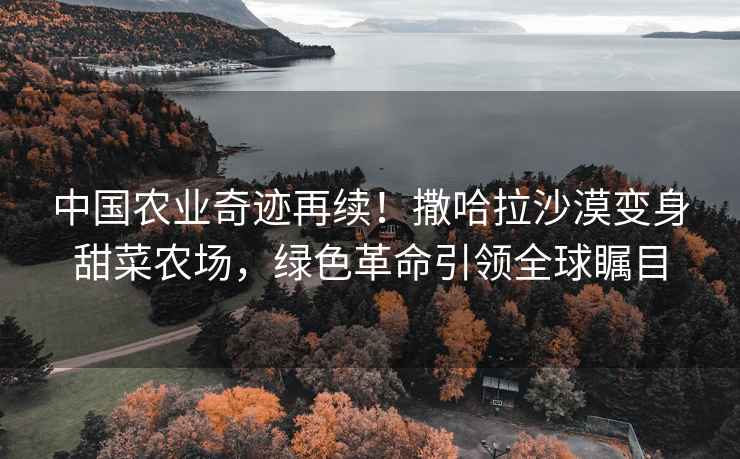 中國農(nóng)業(yè)奇跡再續(xù)！撒哈拉沙漠變身甜菜農(nóng)場，綠色革命引領(lǐng)全球矚目