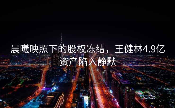 晨曦映照下的股權(quán)凍結(jié)，王健林4.9億資產(chǎn)陷入靜默