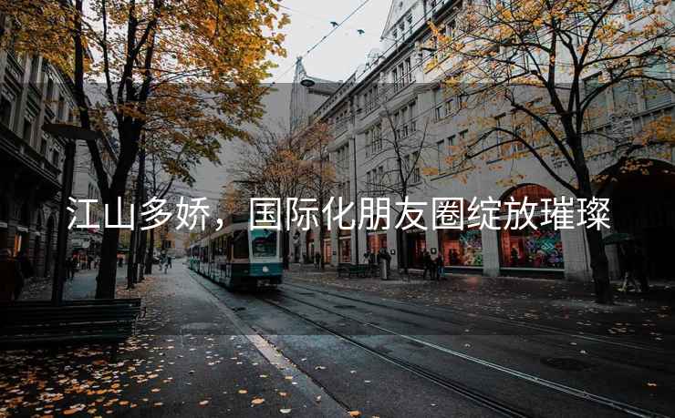 江山多嬌，國際化朋友圈綻放璀璨