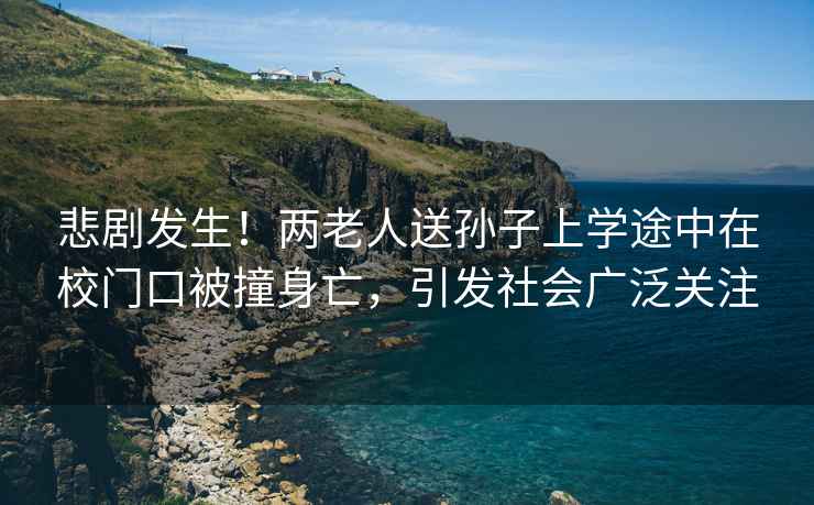悲劇發(fā)生！兩老人送孫子上學途中在校門口被撞身亡，引發(fā)社會廣泛關注