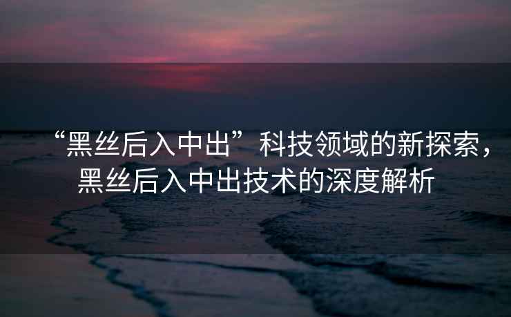 “黑絲后入中出”科技領(lǐng)域的新探索，黑絲后入中出技術(shù)的深度解析