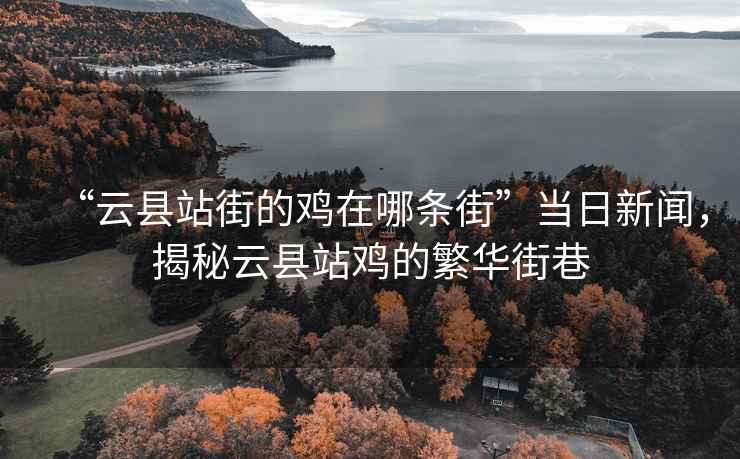 “云縣站街的雞在哪條街”當日新聞，揭秘云縣站雞的繁華街巷