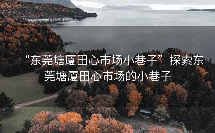“東莞塘廈田心市場小巷子”探索東莞塘廈田心市場的小巷子