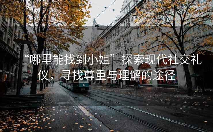 “哪里能找到小姐”探索現(xiàn)代社交禮儀，尋找尊重與理解的途徑