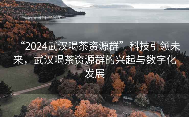 “2024武漢喝茶資源群”科技引領(lǐng)未來，武漢喝茶資源群的興起與數(shù)字化發(fā)展